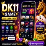 DK11 Game APK Download Best Earning Application